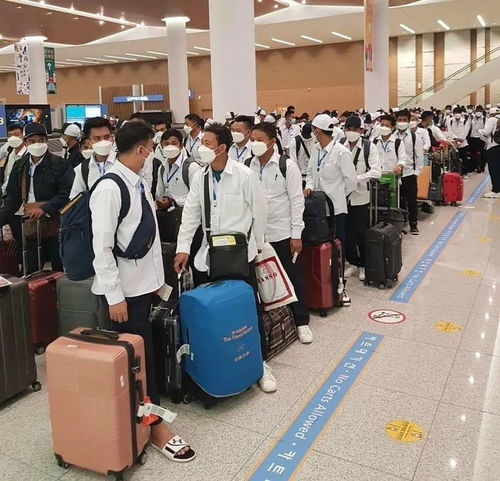 因私出入境中介服務(wù) 架設(shè)個人海外出行的專業(yè)橋梁